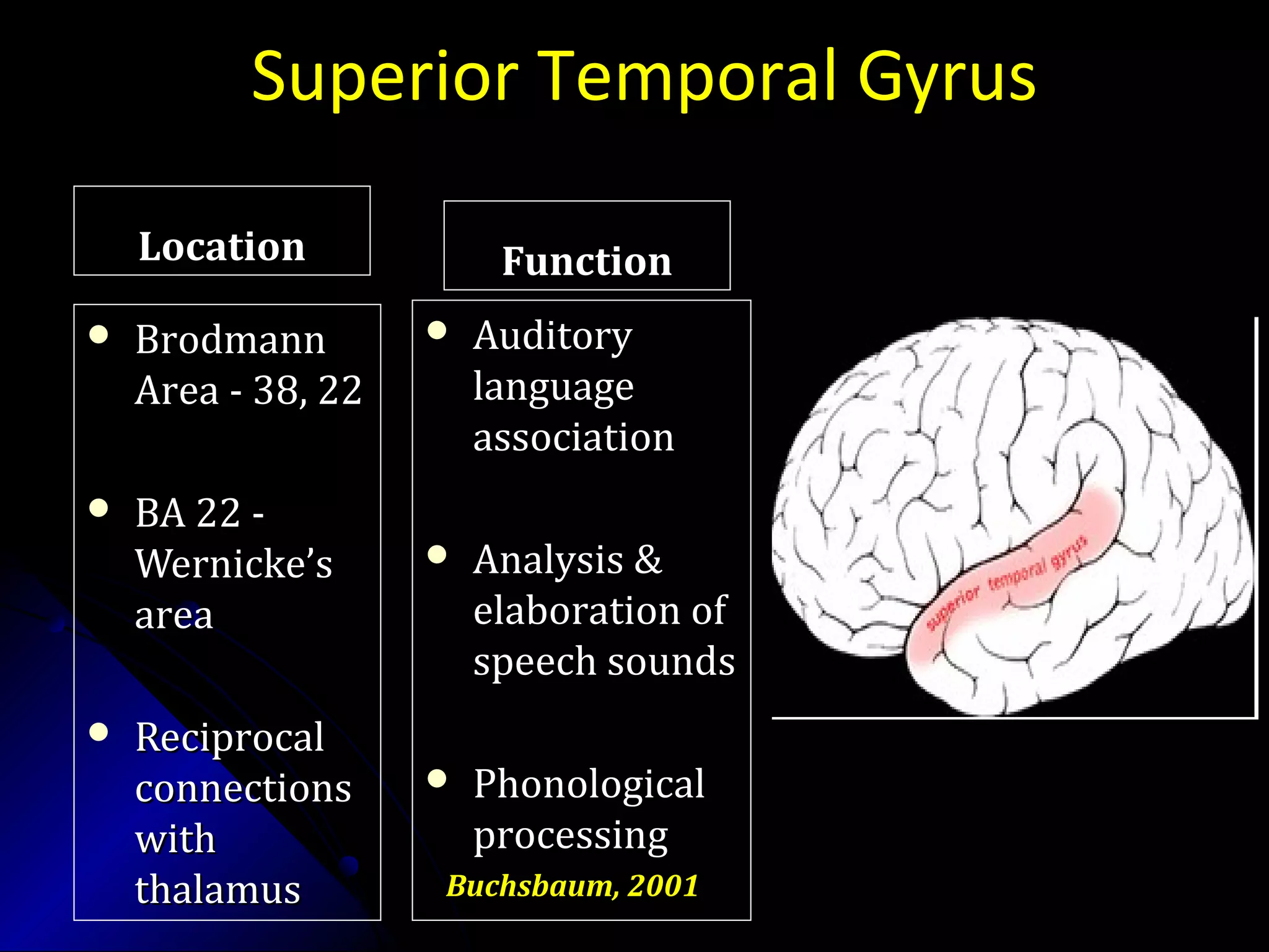 Superior Temporal Gyrus
LocationLocation
 BrodmannBrodmann
Area - 38, 22Area - 38, 22
 BA 22 -BA 22 -
Wernicke’sWernicke’s
areaarea
 ReciprocalReciprocal
connectionsconnections
withwith
thalamusthalamus
FunctionFunction
 AuditoryAuditory
languagelanguage
associationassociation
 Analysis &Analysis &
elaboration ofelaboration of
speech soundsspeech sounds
 PhonologicalPhonological
processingprocessing
Buchsbaum, 2001Buchsbaum, 2001
 