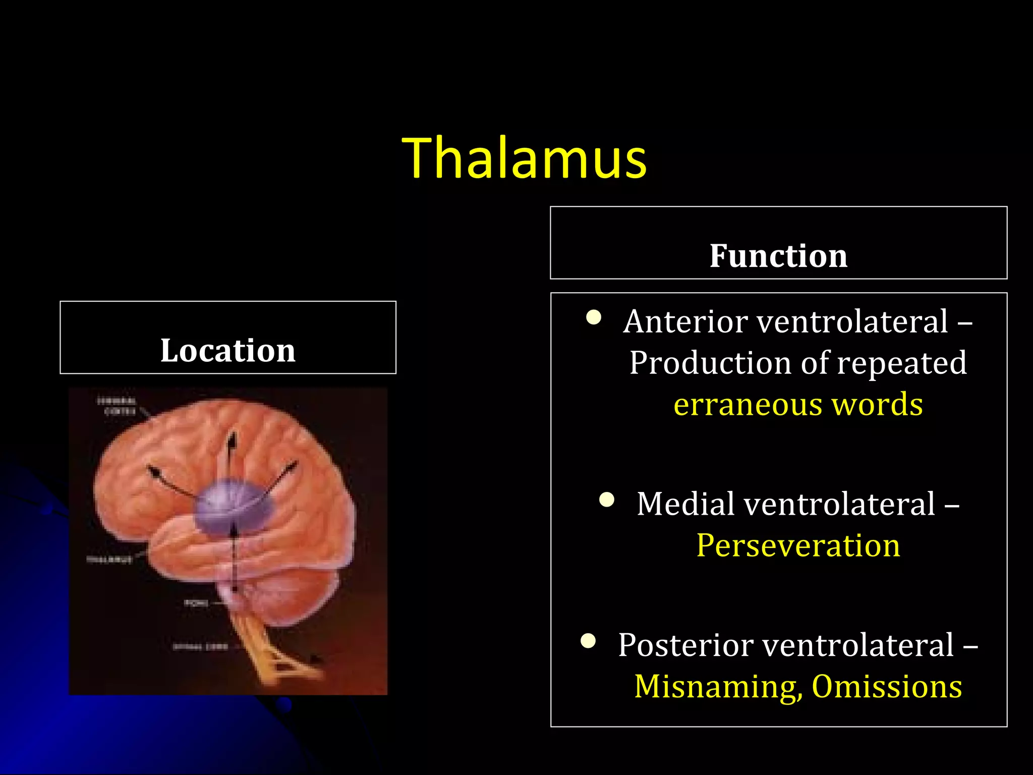 Thalamus
LocationLocation
FunctionFunction
 Anterior ventrolateral –Anterior ventrolateral –
Production of repeatedProduction of repeated
erraneous wordserraneous words
 Medial ventrolateral –Medial ventrolateral –
PerseverationPerseveration
 Posterior ventrolateral –Posterior ventrolateral –
Misnaming, OmissionsMisnaming, Omissions
 