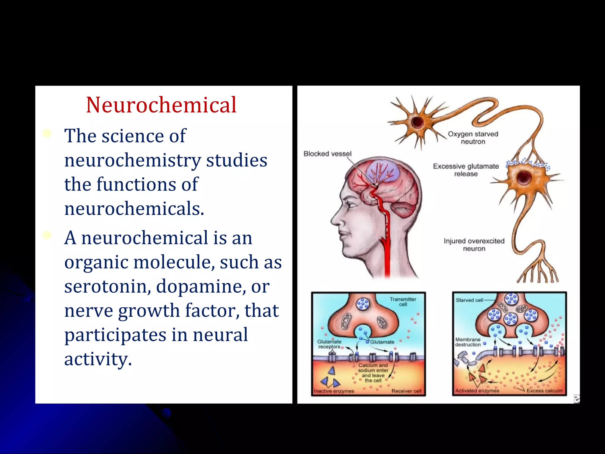 Neurochemical
 The science of
neurochemistry studies
the functions of
neurochemicals.
 A neurochemical is an
organic molecule, such as
serotonin, dopamine, or
nerve growth factor, that
participates in neural
activity.
 