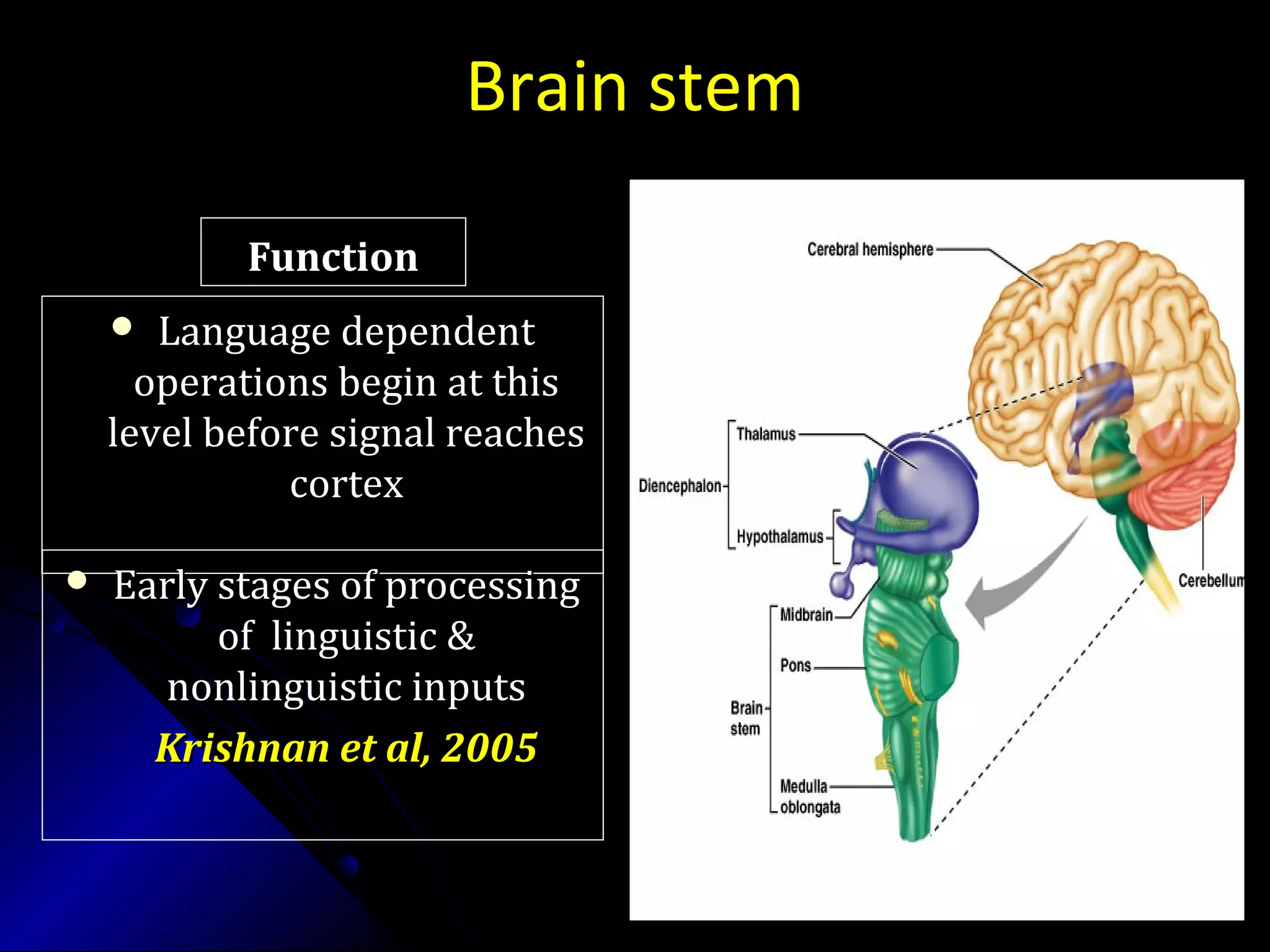 Brain stem
 Language dependentLanguage dependent
operations begin at thisoperations begin at this
level before signal reacheslevel before signal reaches
cortexcortex
FunctionFunction
 Early stages of processingEarly stages of processing
of linguistic &of linguistic &
nonlinguistic inputsnonlinguistic inputs
Krishnan et al, 2005Krishnan et al, 2005
 