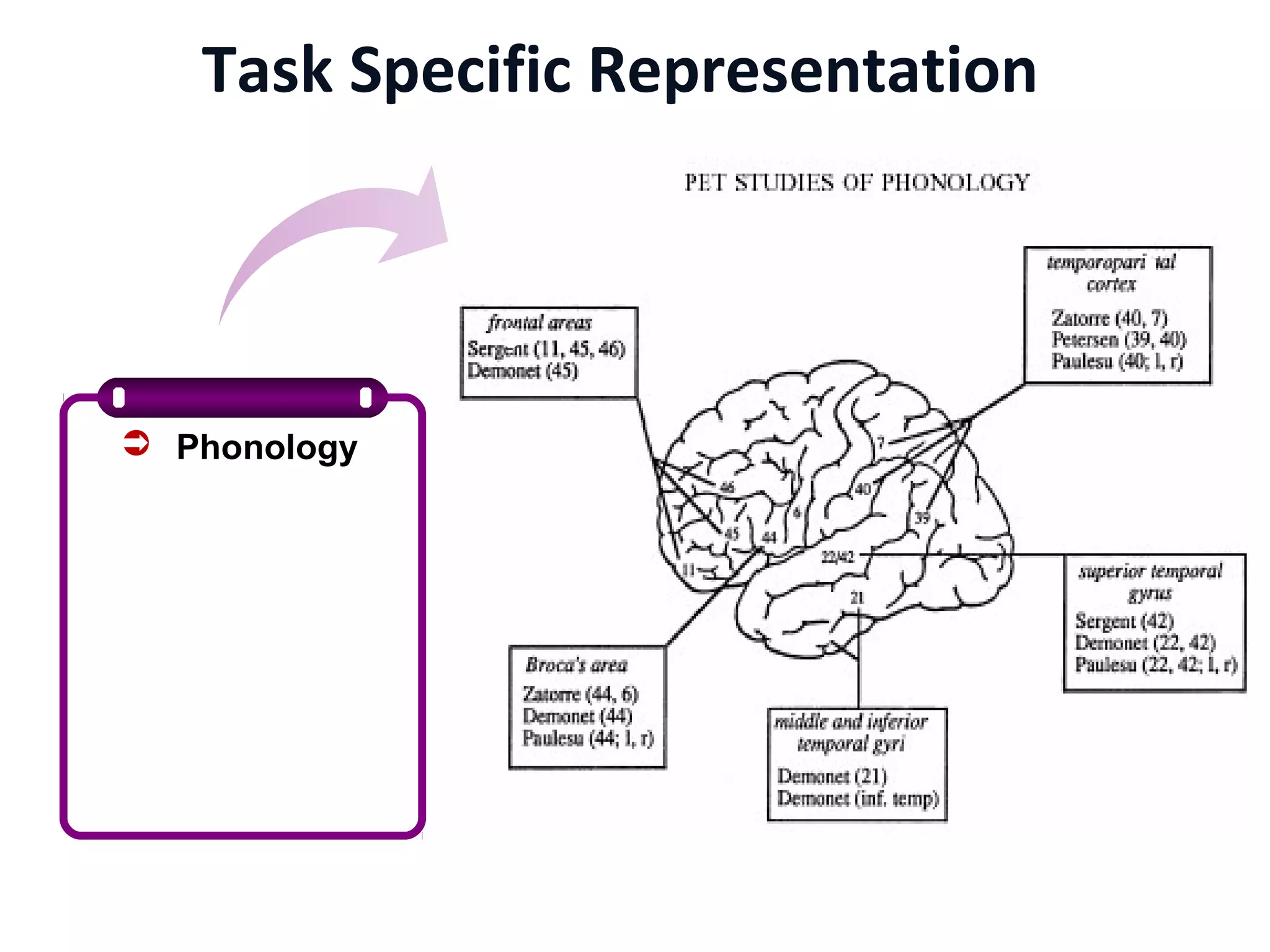 Task Specific Representation
 Phonology
 