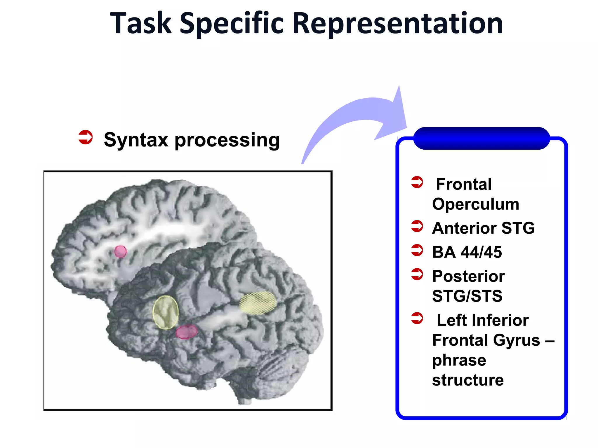 Task Specific Representation
 Frontal
Operculum
 Anterior STG
 BA 44/45
 Posterior
STG/STS
 Left Inferior
Frontal Gyrus –
phrase
structure
 Syntax processing
 