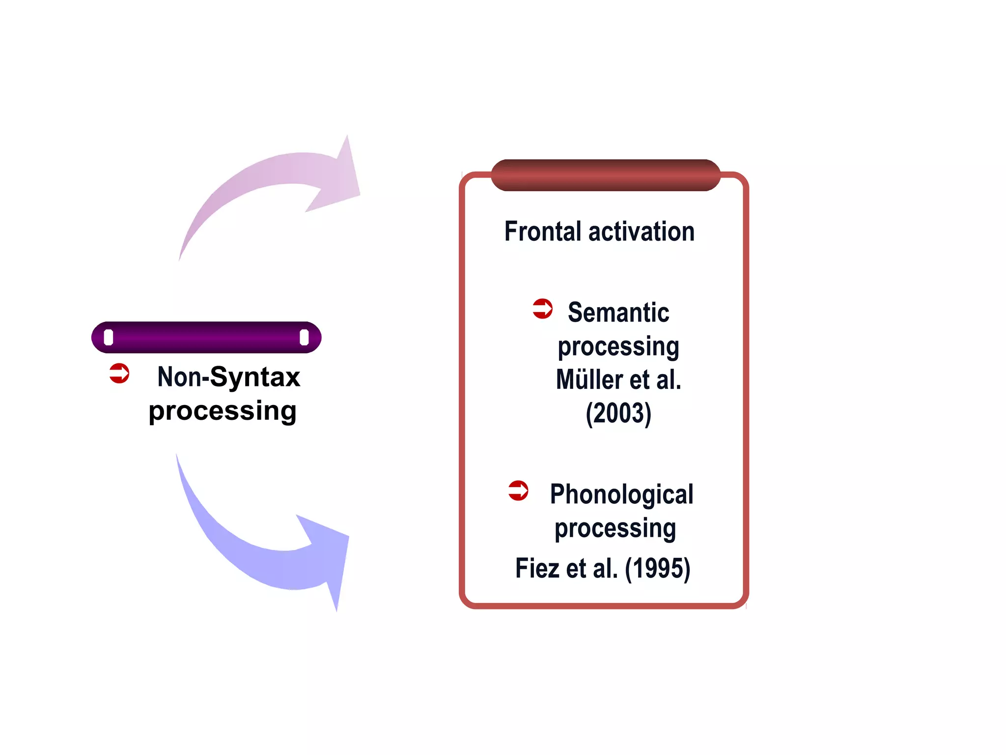  Non-Syntax
processing
Frontal activation
 Semantic
processing
Müller et al.
(2003)
 Phonological
processing
Fiez et al. (1995)
 