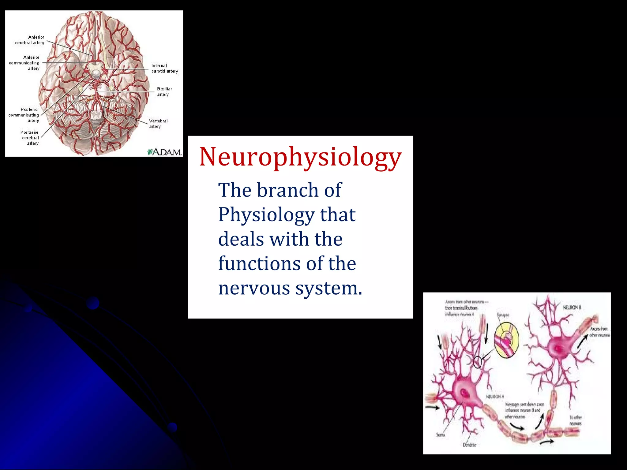 Neurophysiology
The branch of
Physiology that
deals with the
functions of the
nervous system.
 