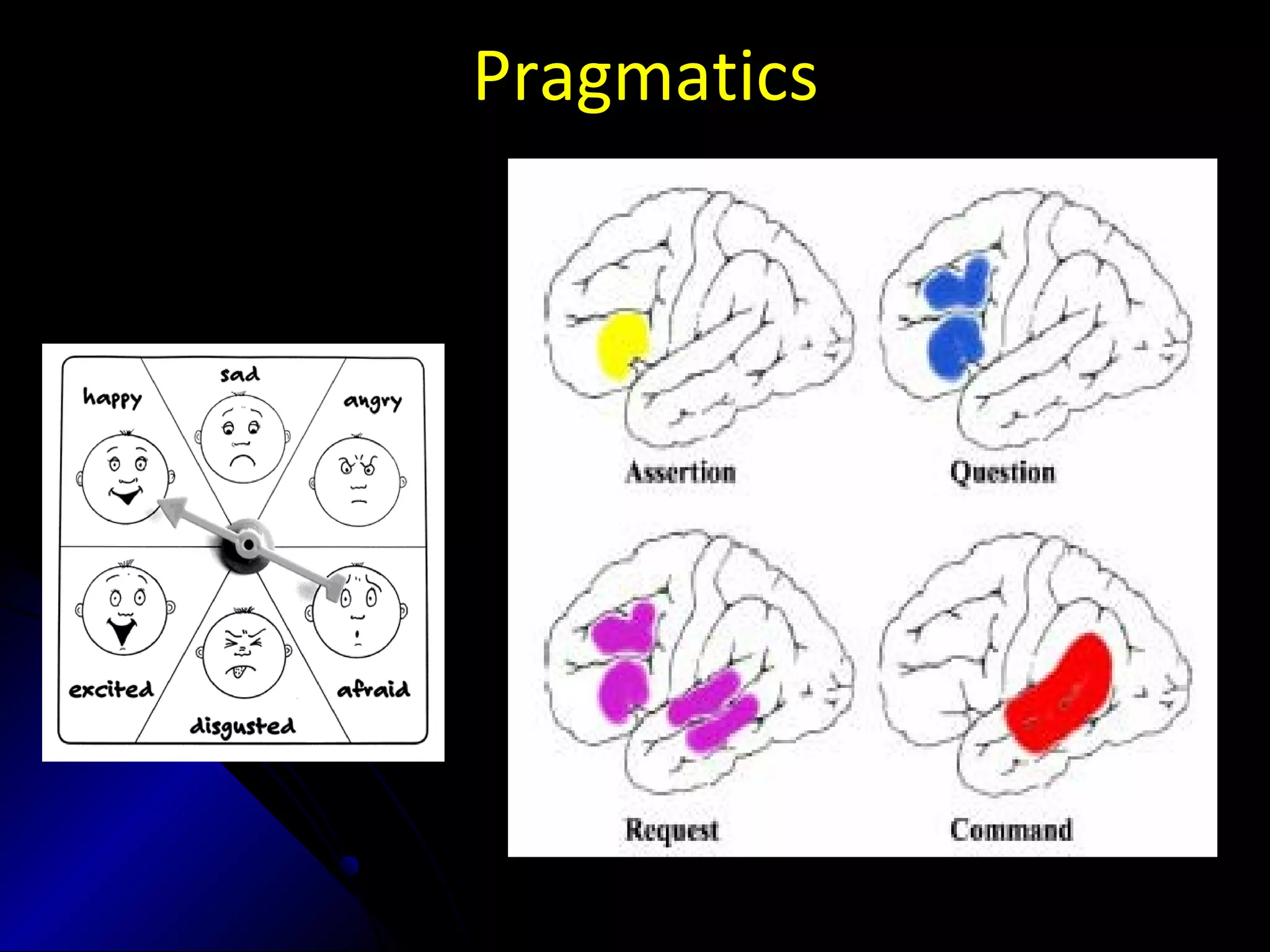 Pragmatics
 