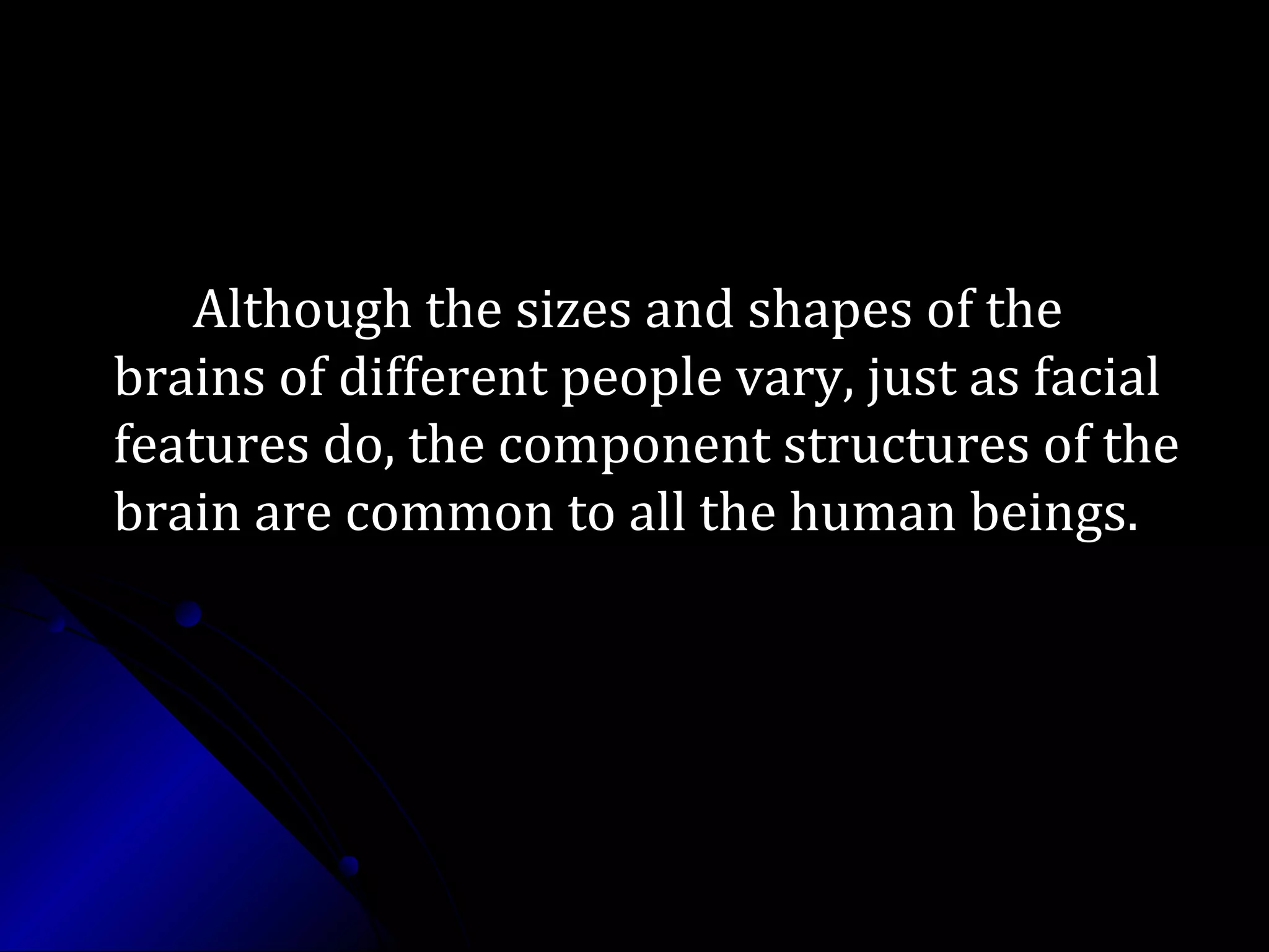 Although the sizes and shapes of theAlthough the sizes and shapes of the
brains of different people vary, just as facialbrains of different people vary, just as facial
features do, the component structures of thefeatures do, the component structures of the
brain are common to all the human beings.brain are common to all the human beings.
 
