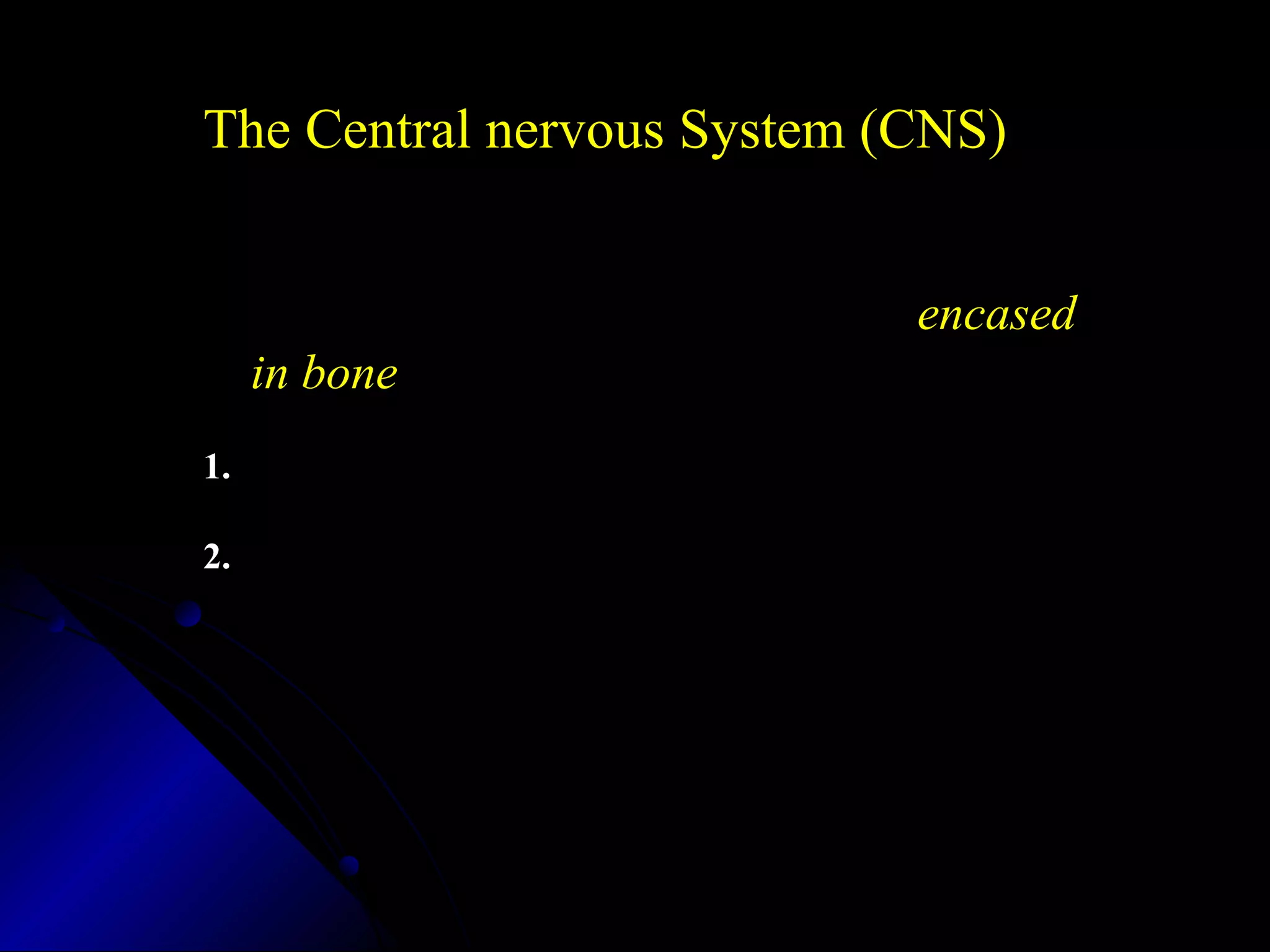 The Central nervous System (CNS)
Parts of the nervous system that are encased
in bone
1. Brain
2. Spinal Cord
 