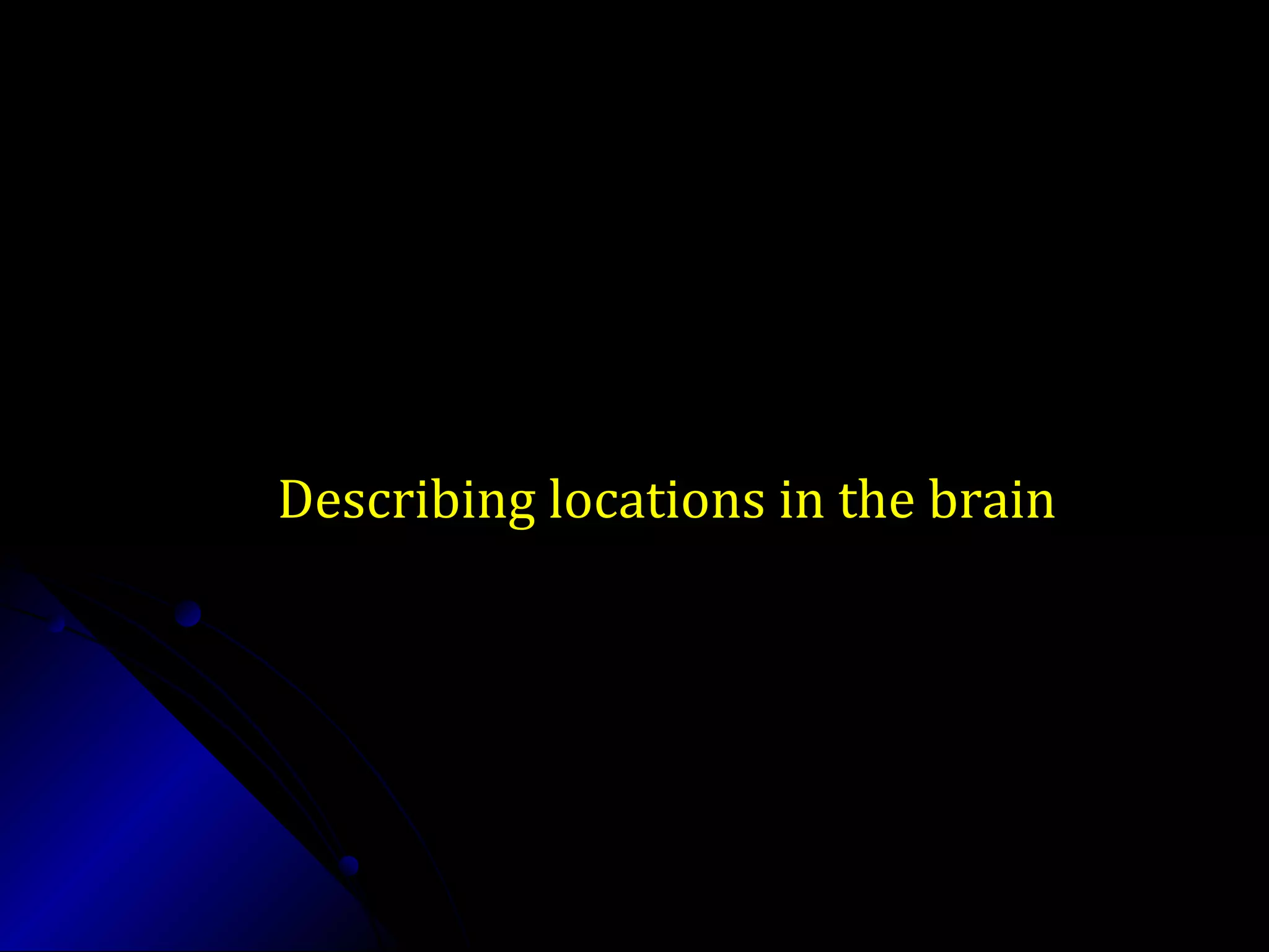 Describing locations in the brainDescribing locations in the brain
 