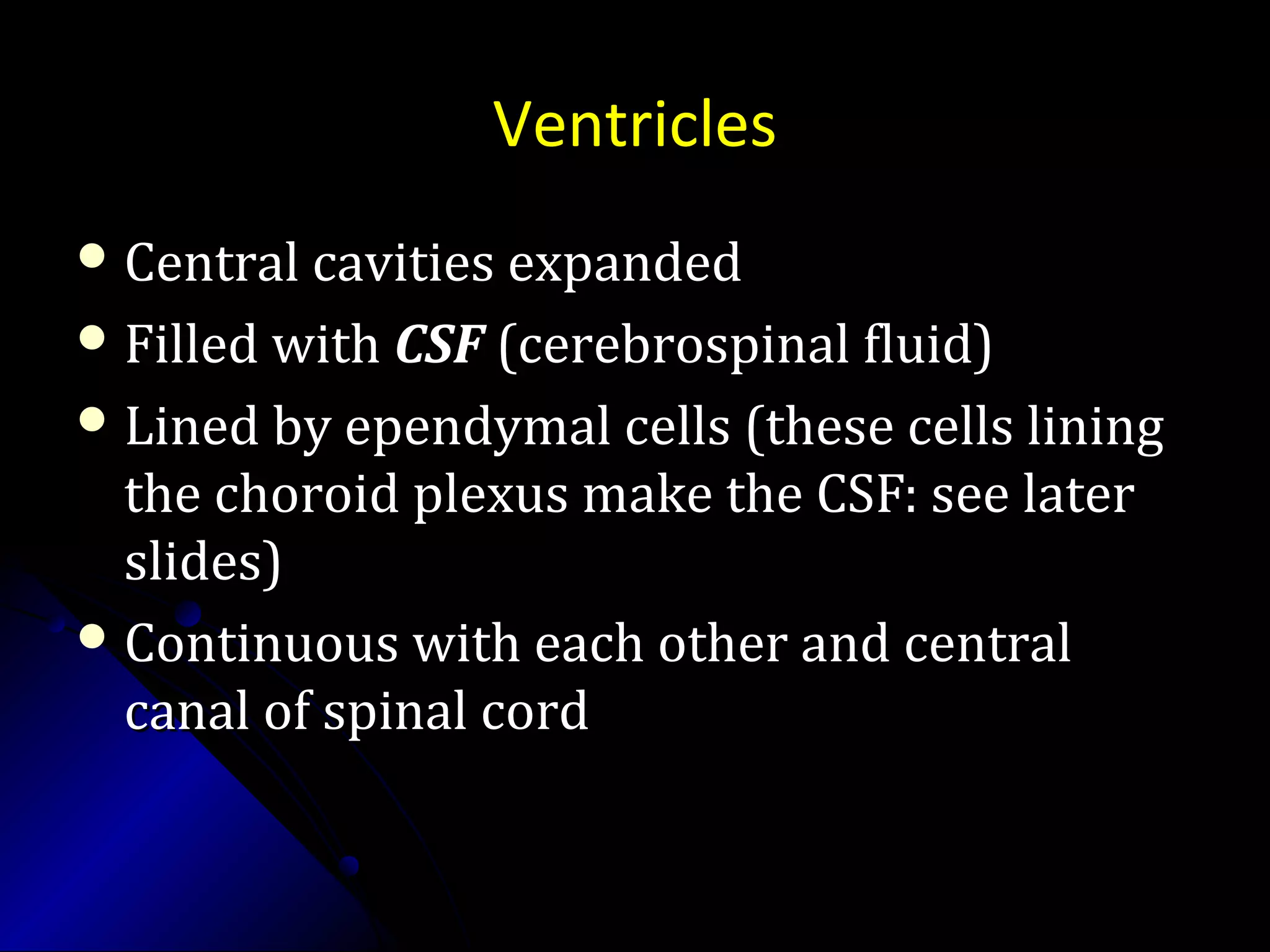 Ventricles
 Central cavities expandedCentral cavities expanded
 Filled withFilled with CSFCSF (cerebrospinal fluid)(cerebrospinal fluid)
 Lined by ependymal cells (these cells liningLined by ependymal cells (these cells lining
the choroid plexus make the CSF: see laterthe choroid plexus make the CSF: see later
slides)slides)
 Continuous with each other and centralContinuous with each other and central
canal of spinal cordcanal of spinal cord
 