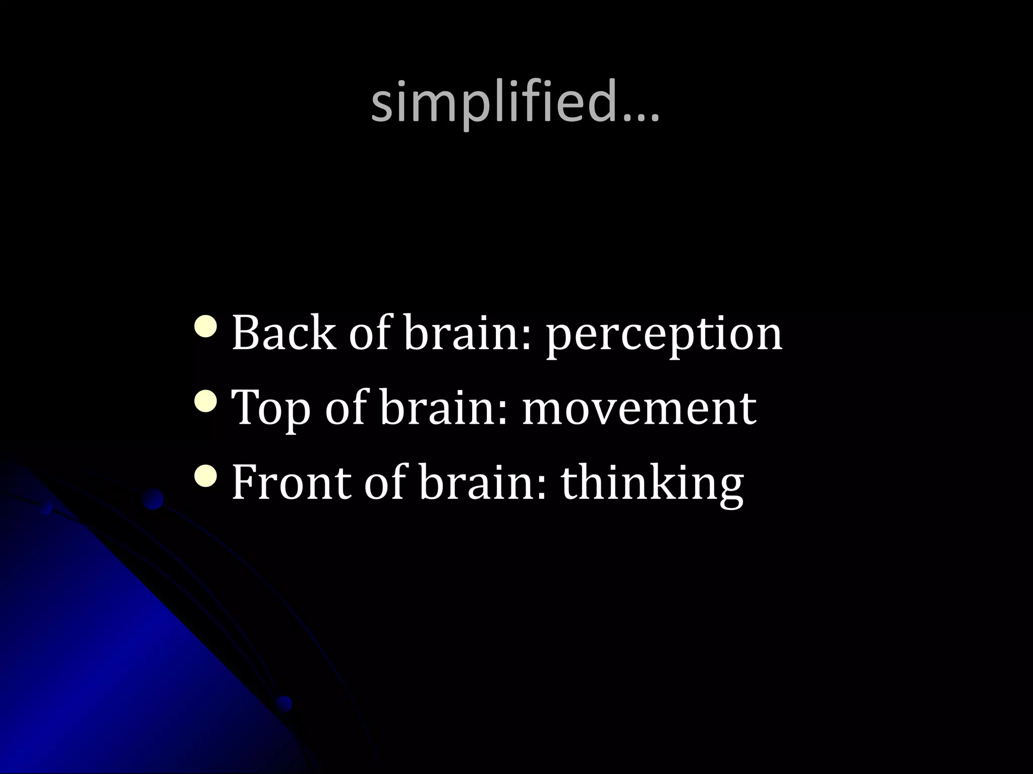 simplified…simplified…
Back of brain: perceptionBack of brain: perception
Top of brain: movementTop of brain: movement
Front of brain: thinkingFront of brain: thinking
 