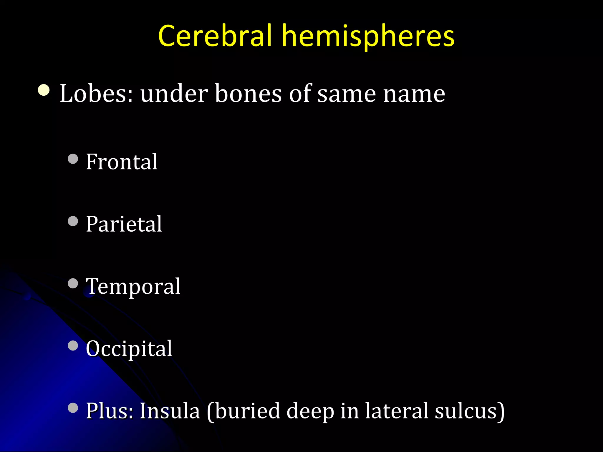 Cerebral hemispheres
 Lobes: under bones of same nameLobes: under bones of same name
FrontalFrontal
ParietalParietal
TemporalTemporal
OccipitalOccipital
Plus: Insula (buried deep in lateral sulcus)Plus: Insula (buried deep in lateral sulcus)
 