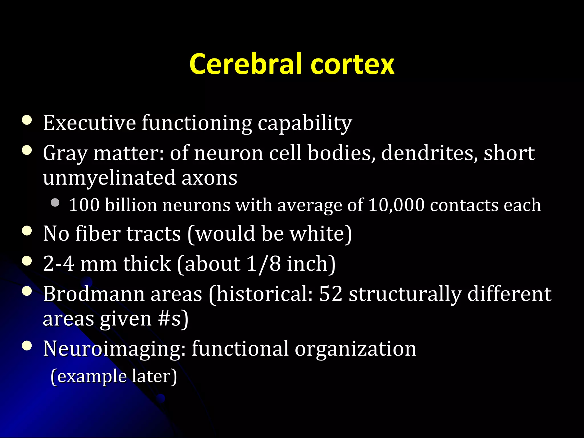 Cerebral cortex
 Executive functioning capabilityExecutive functioning capability
 Gray matter: of neuron cell bodies, dendrites, shortGray matter: of neuron cell bodies, dendrites, short
unmyelinated axonsunmyelinated axons
 100 billion neurons with average of 10,000 contacts each100 billion neurons with average of 10,000 contacts each
 No fiber tracts (would be white)No fiber tracts (would be white)
 2-4 mm thick (about 1/8 inch)2-4 mm thick (about 1/8 inch)
 Brodmann areas (historical: 52 structurally differentBrodmann areas (historical: 52 structurally different
areas given #s)areas given #s)
 Neuroimaging: functional organizationNeuroimaging: functional organization
(example later)(example later)
 