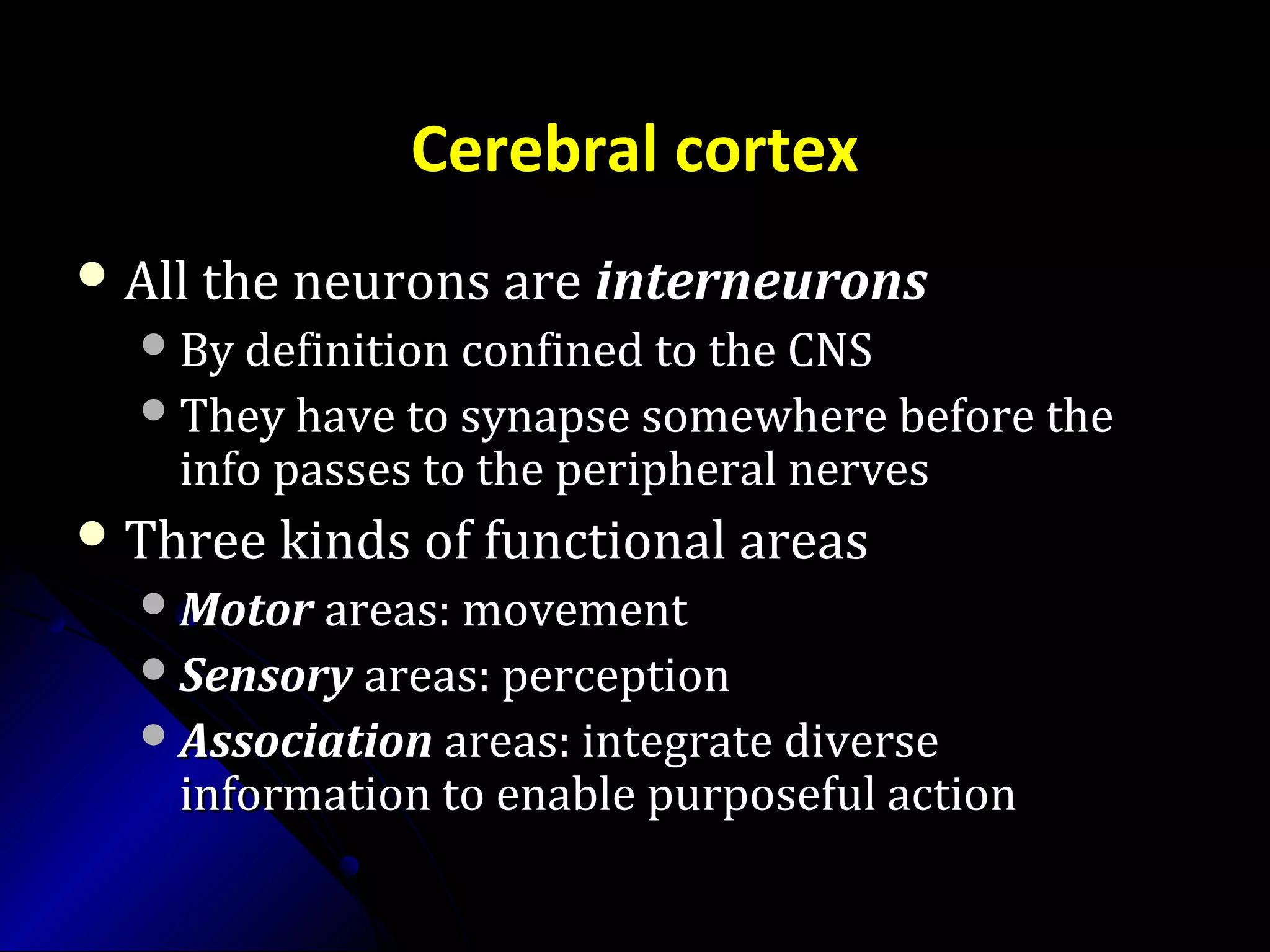 Cerebral cortex
 All the neurons areAll the neurons are interneuronsinterneurons
By definition confined to the CNSBy definition confined to the CNS
They have to synapse somewhere before theThey have to synapse somewhere before the
info passes to the peripheral nervesinfo passes to the peripheral nerves
 Three kinds of functional areasThree kinds of functional areas
MotorMotor areas: movementareas: movement
SensorySensory areas: perceptionareas: perception
AssociationAssociation areas: integrate diverseareas: integrate diverse
information to enable purposeful actioninformation to enable purposeful action
 