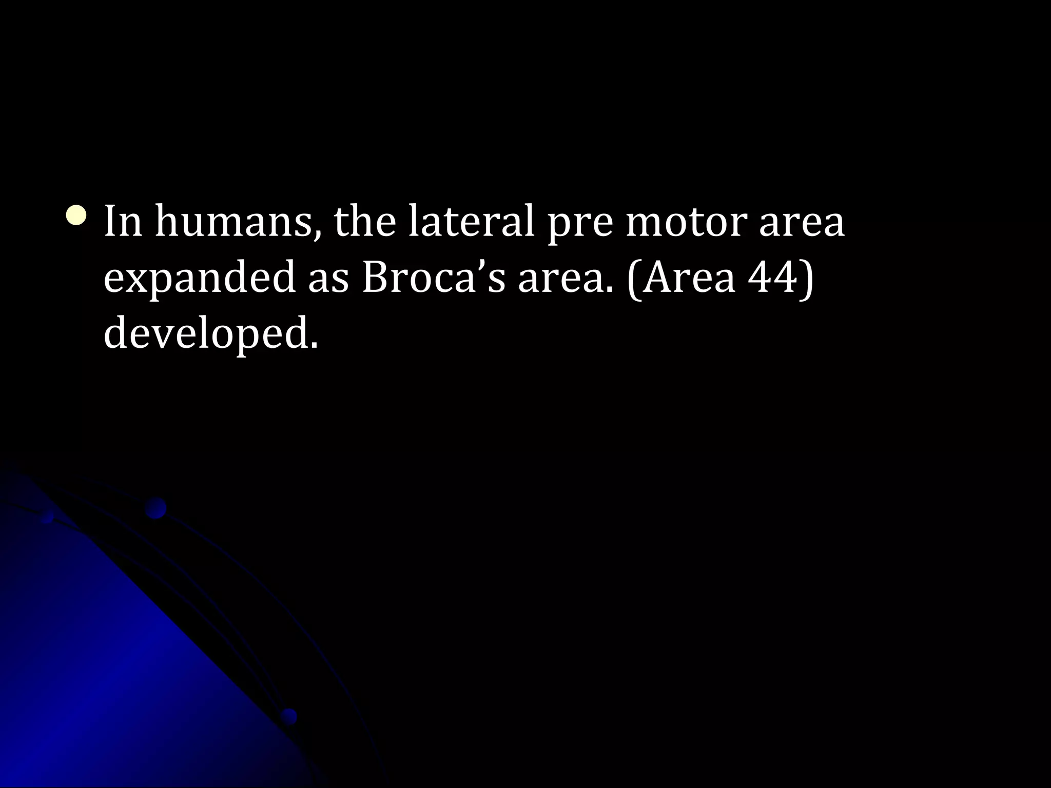  In humans, the lateral pre motor areaIn humans, the lateral pre motor area
expanded as Broca’s area. (Area 44)expanded as Broca’s area. (Area 44)
developed.developed.
 