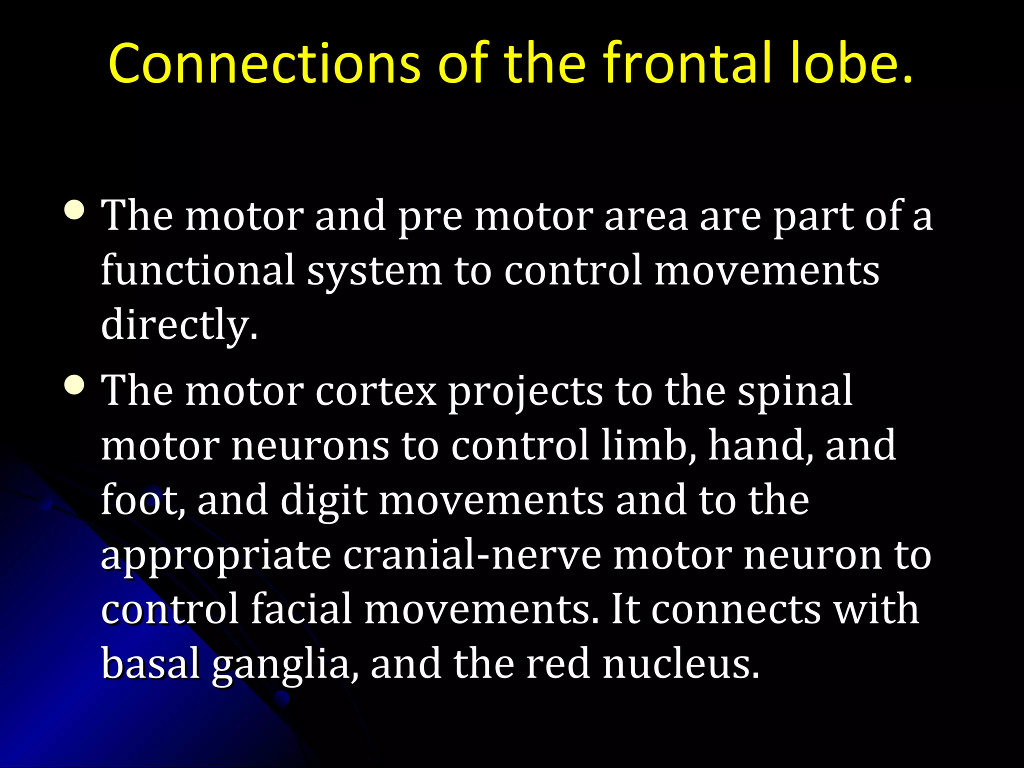 Connections of the frontal lobe.
 The motor and pre motor area are part of aThe motor and pre motor area are part of a
functional system to control movementsfunctional system to control movements
directly.directly.
 The motor cortex projects to the spinalThe motor cortex projects to the spinal
motor neurons to control limb, hand, andmotor neurons to control limb, hand, and
foot, and digit movements and to thefoot, and digit movements and to the
appropriate cranial-nerve motor neuron toappropriate cranial-nerve motor neuron to
control facial movements. It connects withcontrol facial movements. It connects with
basal ganglia, and the red nucleus.basal ganglia, and the red nucleus.
 