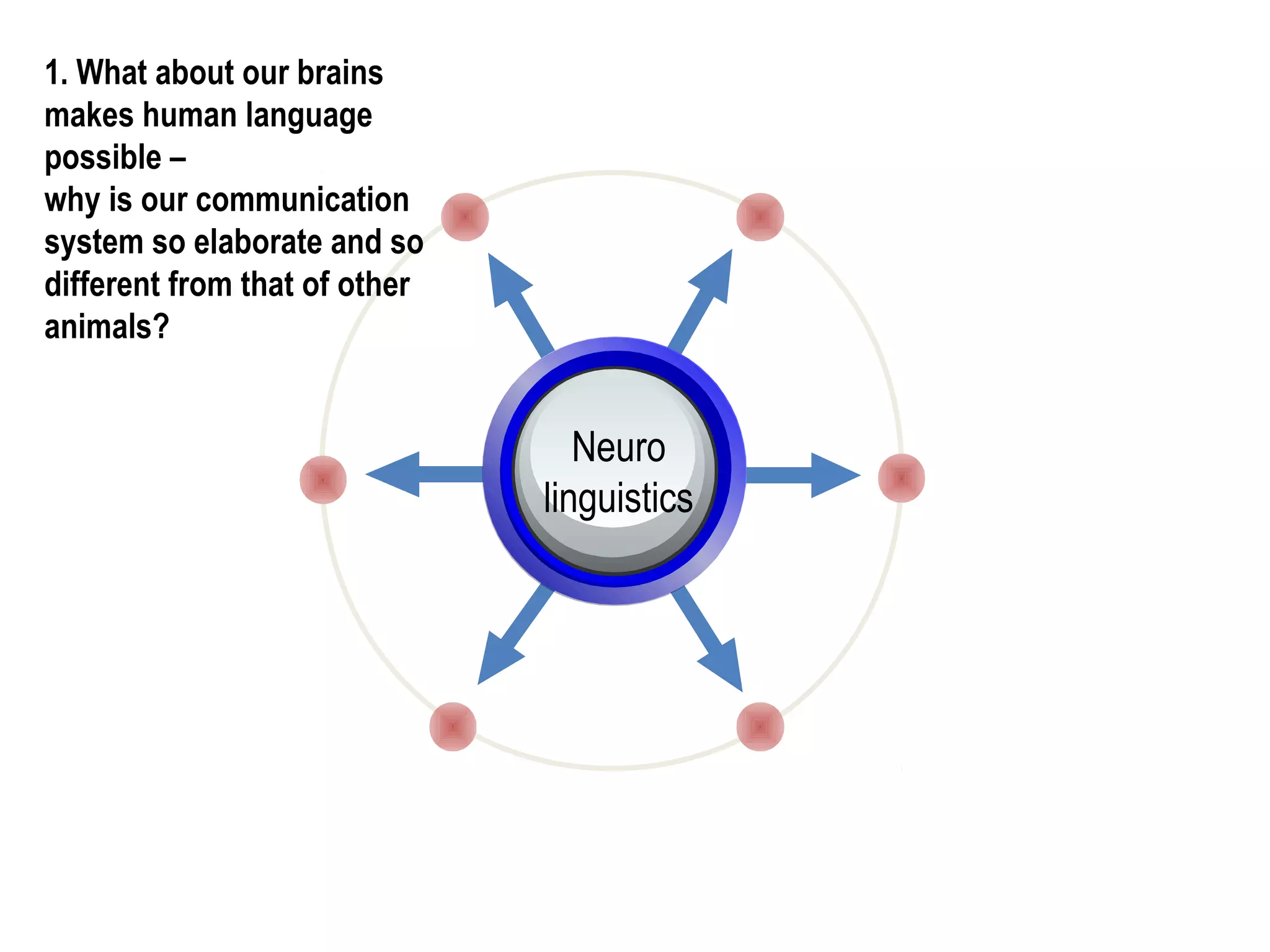 1. What about our brains
makes human language
possible –
why is our communication
system so elaborate and so
different from that of other
animals?
Neuro
linguistics
 