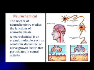 Neurochemical
 The science of
neurochemistry studies
the functions of
neurochemicals.
 A neurochemical is an
organic molecule, such as
serotonin, dopamine, or
nerve growth factor, that
participates in neural
activity.
 