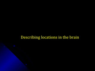 Describing locations in the brainDescribing locations in the brain
 