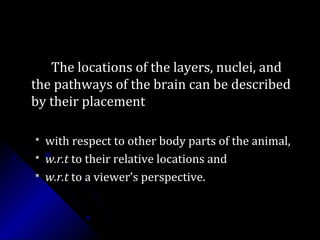 The locations of the layers, nuclei, andThe locations of the layers, nuclei, and
the pathways of the brain can be describedthe pathways of the brain can be described
by their placementby their placement
 with respect to other body parts of the animal,with respect to other body parts of the animal,
 w.r.tw.r.t to their relative locations andto their relative locations and
 w.r.tw.r.t to a viewer’s perspective.to a viewer’s perspective.
 