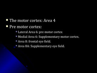  The motor cortex: Area 4The motor cortex: Area 4
 Pre motor cortex:Pre motor cortex:
Lateral Area 6: pre motor cortexLateral Area 6: pre motor cortex
Medial Area 6: Supplementary motor cortex.Medial Area 6: Supplementary motor cortex.
Area 8: frontal eye field.Area 8: frontal eye field.
Area 8A: Supplementary eye field.Area 8A: Supplementary eye field.
 