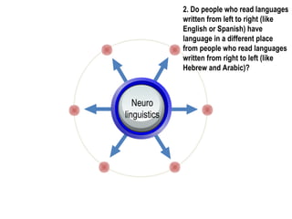 2. Do people who read languages
written from left to right (like
English or Spanish) have
language in a different place
from people who read languages
written from right to left (like
Hebrew and Arabic)?
Neuro
linguistics
 
