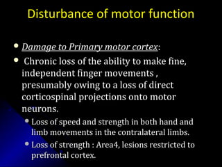 Disturbance of motor function
 Damage to Primary motor cortexDamage to Primary motor cortex::
 Chronic loss of the ability to make fine,Chronic loss of the ability to make fine,
independent finger movements ,independent finger movements ,
presumably owing to a loss of directpresumably owing to a loss of direct
corticospinal projections onto motorcorticospinal projections onto motor
neurons.neurons.
Loss of speed and strength in both hand andLoss of speed and strength in both hand and
limb movements in the contralateral limbs.limb movements in the contralateral limbs.
Loss of strength : Area4, lesions restricted toLoss of strength : Area4, lesions restricted to
prefrontal cortex.prefrontal cortex.
 