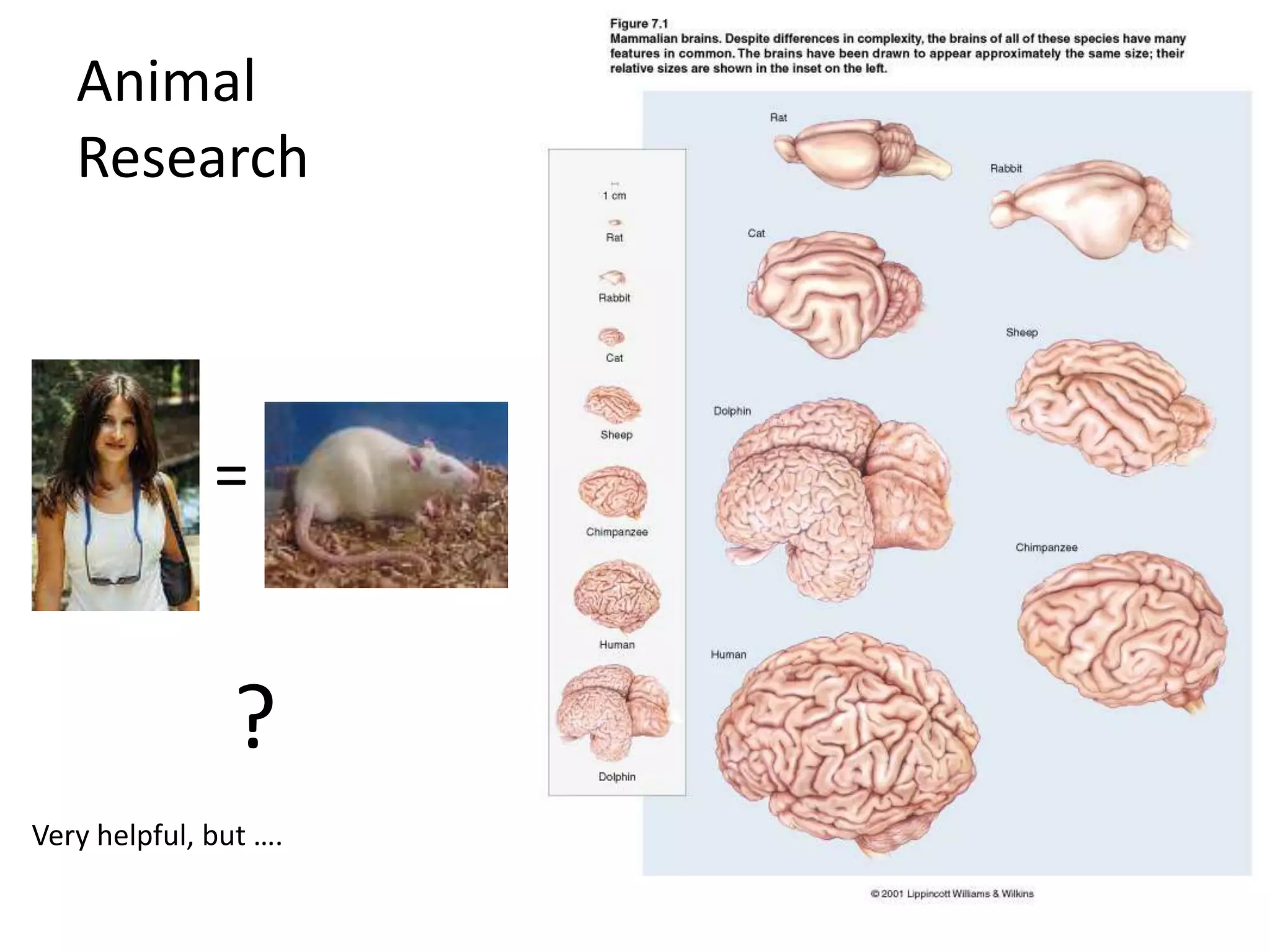 Animal
   Research




              =


                ?
Very helpful, but ….
 