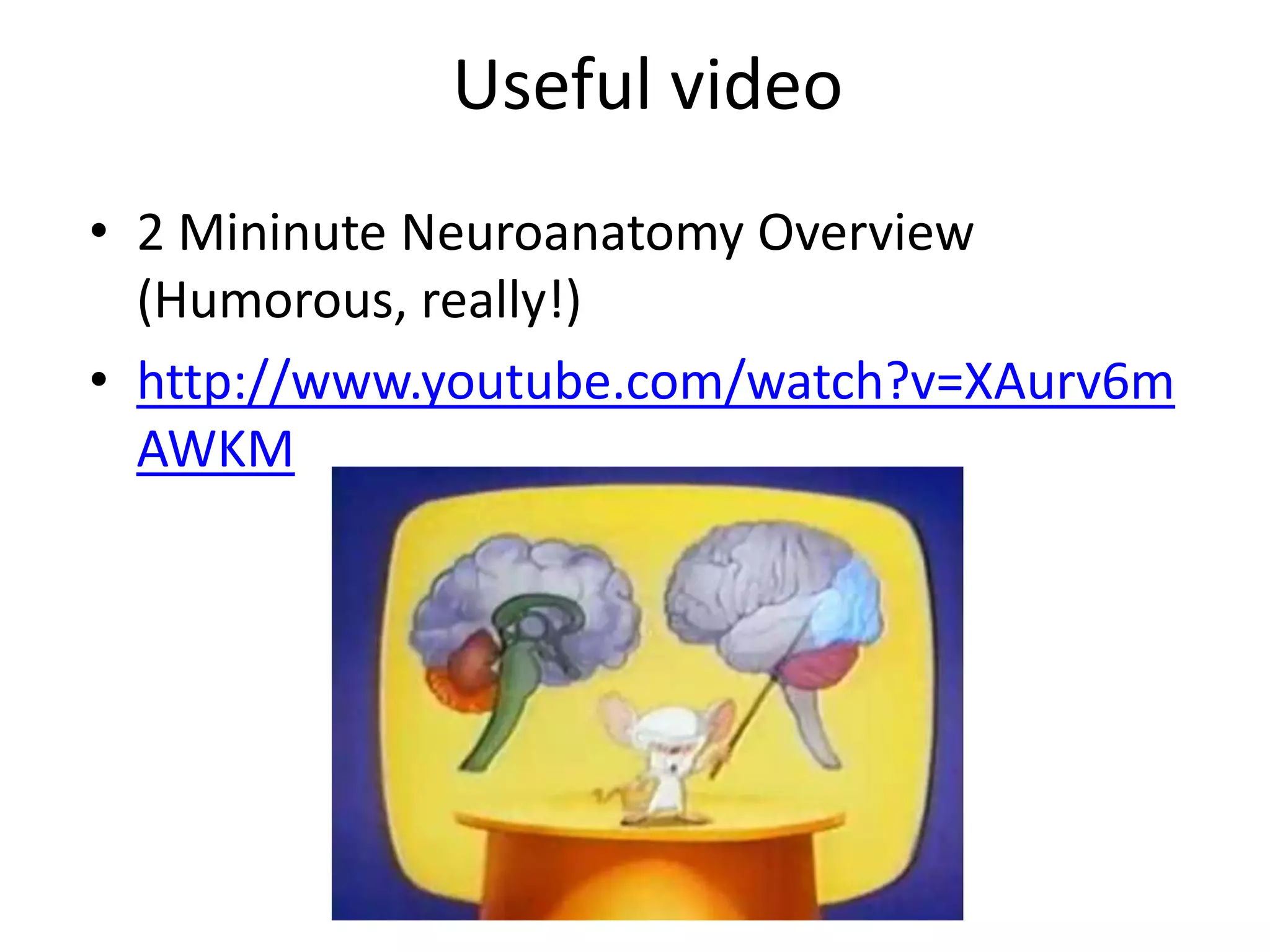 Useful video
• 2 Mininute Neuroanatomy Overview
  (Humorous, really!)
• http://www.youtube.com/watch?v=XAurv6m
  AWKM
 