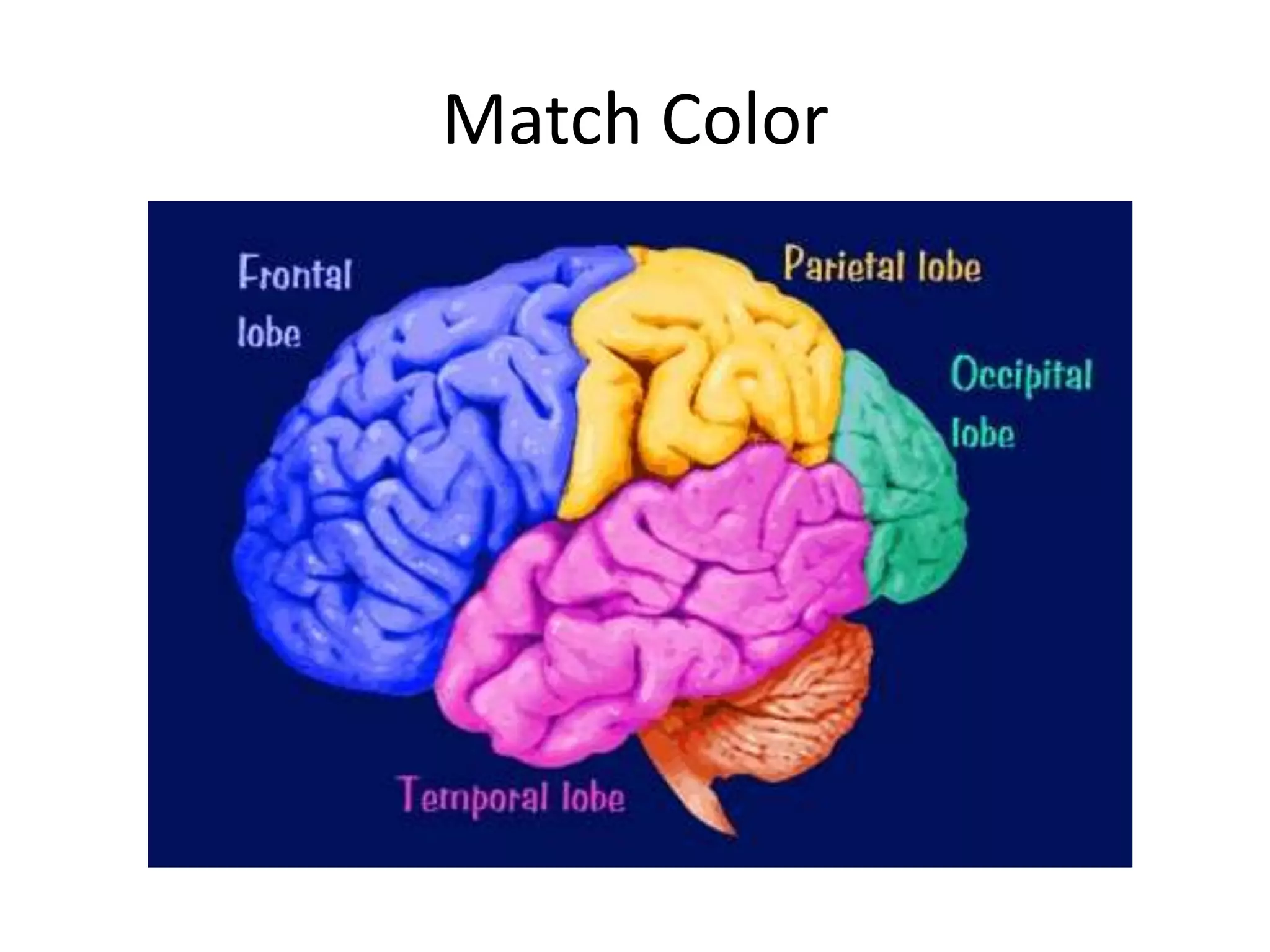 Match Color
 