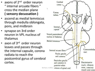 NEUROANATOMY; psychatric nurses.pptx