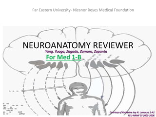 NEUROANATOMY REVIEWER
For Med 1-B
Far Eastern University- Nicanor Reyes Medical Foundation
Courtesy of Katherine Joy N. Lumucso 1-A2
FEU-NRMF SY 2005-2006
Yang, Yuaga, Zagada, Zamora, Zapanta
 