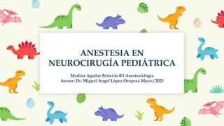 ANESTESIA EN
NEUROCIRUGÍA PEDIÁTRICA
Medina Aguilar Briseida R3 Anestesiología
Asesor: Dr. Miguel Ángel López Oropeza Mayo / 2023
 