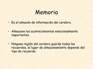Memoria Es el almacén de información del cerebro. Almacena los acontecimientos emocionalmente importantes. Ninguna región del cerebro guarda todos los recuerdos, el lugar de almacenamiento depende del tipo de recuerdo. 
