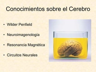 Conocimientos sobre el Cerebro Wilder Penfield Neuroimagenología Resonancia Magnética Circuitos Neurales 