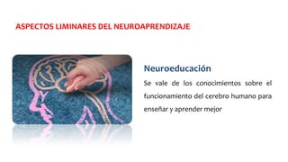 ASPECTOS LIMINARES DEL NEUROAPRENDIZAJE
Neuroeducación
Se vale de los conocimientos sobre el
funcionamiento del cerebro humano para
enseñar y aprender mejor
 