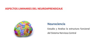 ASPECTOS LIMINARES DEL NEUROAPRENDIZAJE
Neurociencia
Estudia y Analiza la estructura funcional
del Sistema Nervioso Central
 