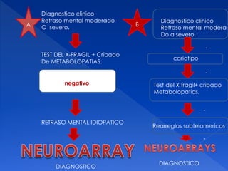 A
Diagnostico clinico
Retraso mental moderado
O severo.
TEST DEL X-FRAGIL + Cribado
De METABOLOPATIAS.
nenegativo
RETRASO MENTAL IDIOPATICO
DIAGNOSTICO
B
Diagnostico clinico
Retraso mental modera
Do a severo.
cariotipo
Test del X fragil+ cribado
Metabolopatias.
-
-
-
Rearreglos subtelomericos
-
DIAGNOSTICO