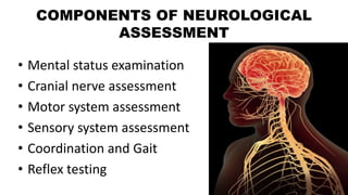 COMPONENTS OF NEUROLOGICAL
ASSESSMENT
• Mental status examination
• Cranial nerve assessment
• Motor system assessment
• Sensory system assessment
• Coordination and Gait
• Reflex testing
 