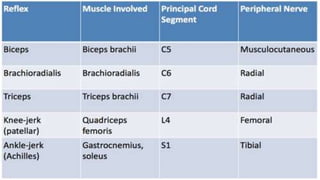 neuro assessment.pptx neuro disorders assessment | PPTX | Brain and ...