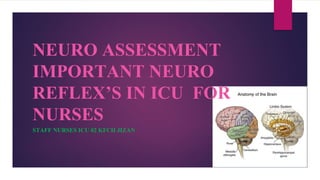 NEURO ASSESSMENT
IMPORTANT NEURO
REFLEX’S IN ICU FOR
NURSES
STAFF NURSES ICU 02 KFCH JIZAN
 