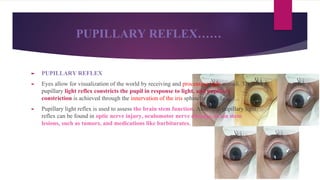 PUPILLARY REFLEX……
► PUPILLARY REFLEX
► Eyes allow for visualization of the world by receiving and processing light stimuli. The
pupillary light reflex constricts the pupil in response to light, and pupillary
constriction is achieved through the innervation of the iris sphincter muscle……..
► Pupillary light reflex is used to assess the brain stem function. Abnormal pupillary light
reflex can be found in optic nerve injury, oculomotor nerve damage, brain stem
lesions, such as tumors, and medications like barbiturates.
 