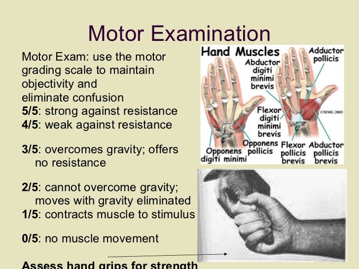 Neuro assessment hdsp final 10.09