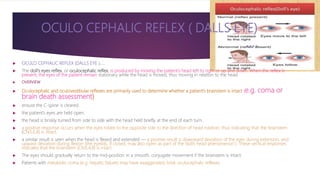 Neuroassessment important neuro reflex’s in icu for nurses +rass score ...