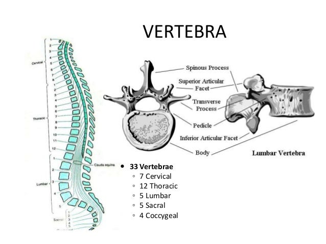 Neuraxial anesthesia