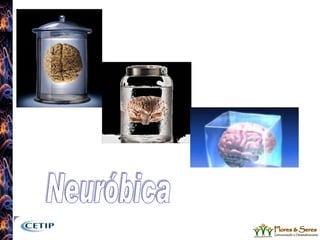 Neuróbica 