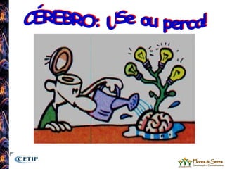 CÉREBRO: USe ou perca! 