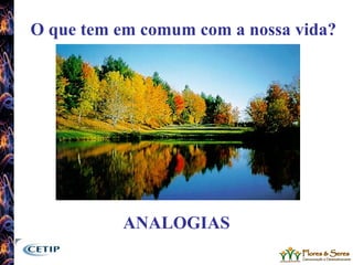 O que tem em comum com a nossa vida? ANALOGIAS 