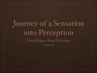 Journey of a Sensation
into Perception
Final Project: Peter V. Grabas
7-20-14
 