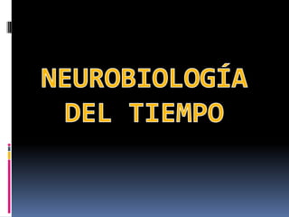 Neurobiología del tiempo