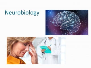 Neurobiology
 